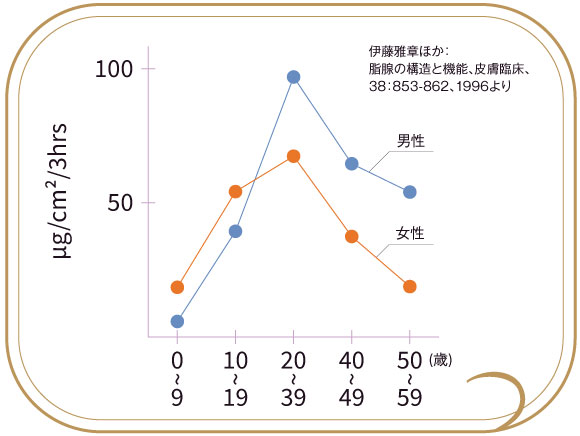 脂腺の構造と機能、皮膚臨床